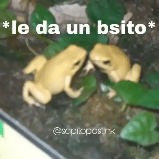 Animales Random🌸💥