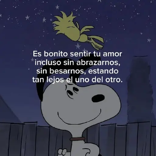 ❤️❤️ Snoopy Amor Frases ❤️❤️