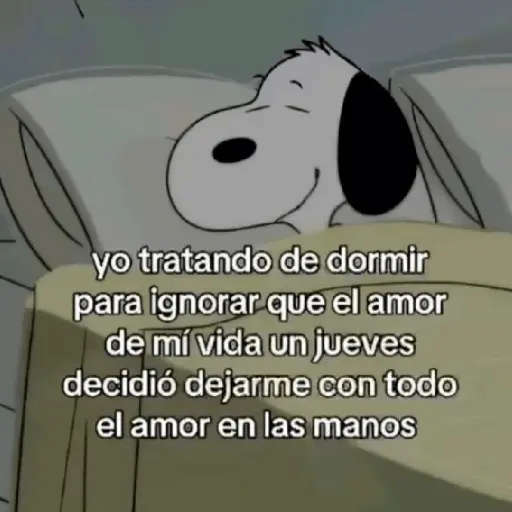 ❤️❤️ Snoopy Amor Frases ❤️❤️