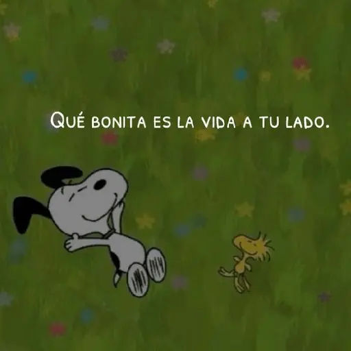 ❤️❤️ Snoopy Amor Frases ❤️❤️