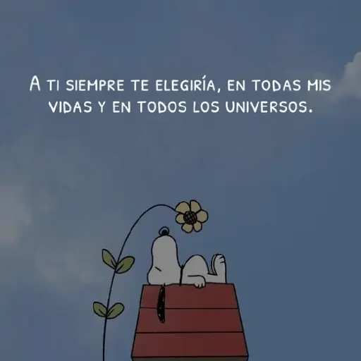 ❤️❤️ Snoopy Amor Frases ❤️❤️