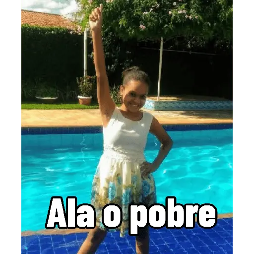 Minhas figurinhas
