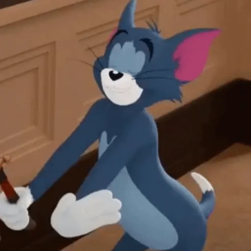 😼 TOM PAL CHAT 😸