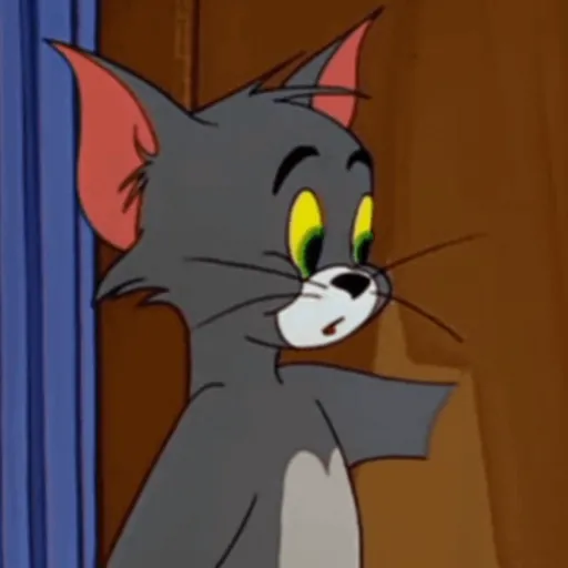 😼 TOM PAL CHAT 😸