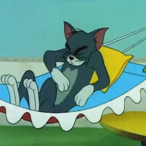 😼 TOM PAL CHAT 😸