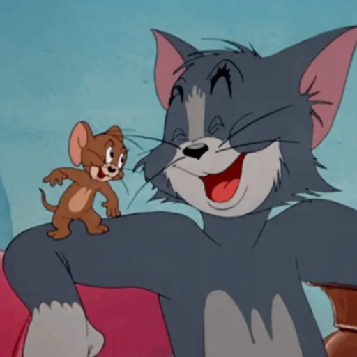 😼 TOM PAL CHAT 😸