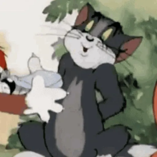 😼 TOM PAL CHAT 😸