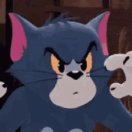 😼 TOM PAL CHAT 😸