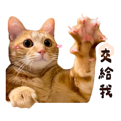 麻吉太郎 貢丸出擊 sticker 26