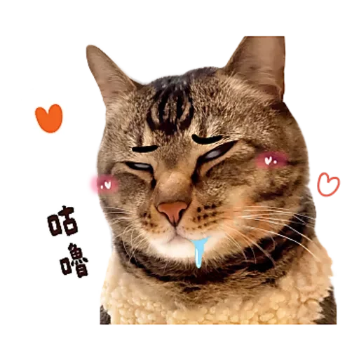 麻吉太郎 貢丸出擊 sticker 28