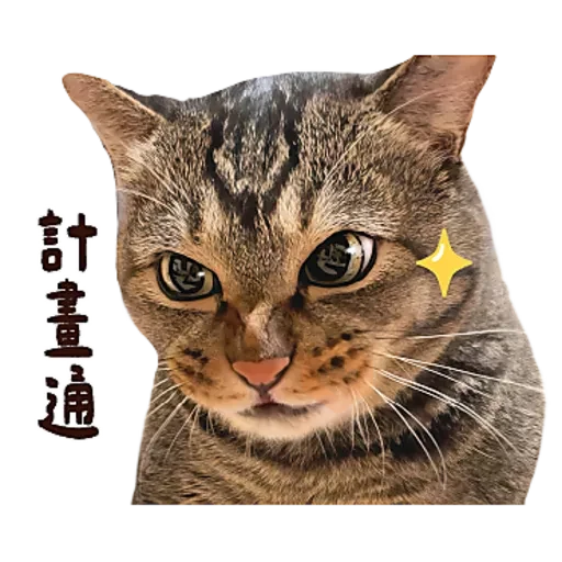 麻吉太郎 貢丸出擊 sticker 23