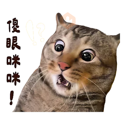 麻吉太郎 貢丸出擊 sticker 16