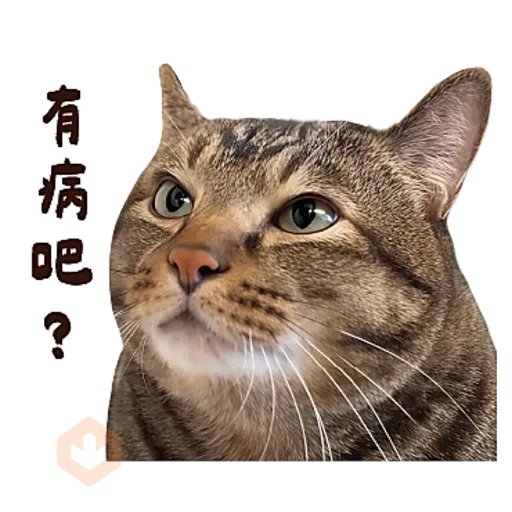 麻吉太郎 貢丸出擊 sticker 13
