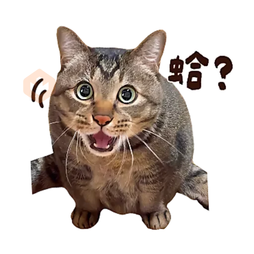 麻吉太郎 貢丸出擊 sticker 17