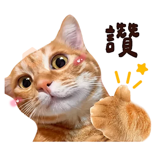 麻吉太郎 貢丸出擊 sticker 14