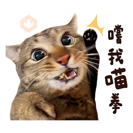 麻吉太郎 貢丸出擊 sticker 20