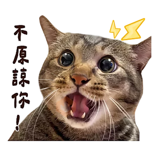 麻吉太郎 貢丸出擊 sticker 19
