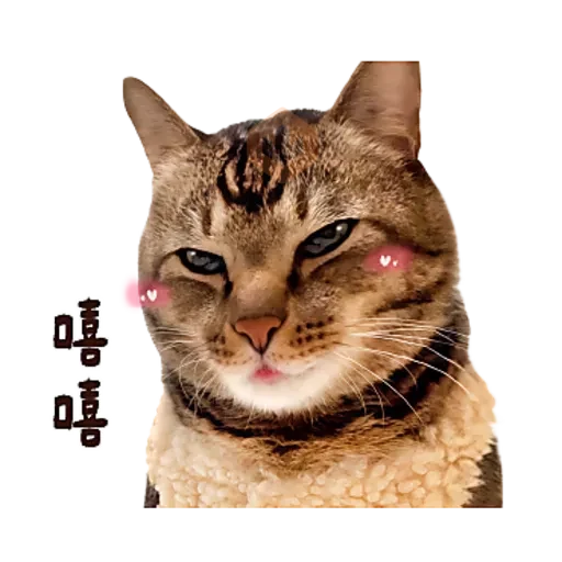 麻吉太郎 貢丸出擊 sticker 27