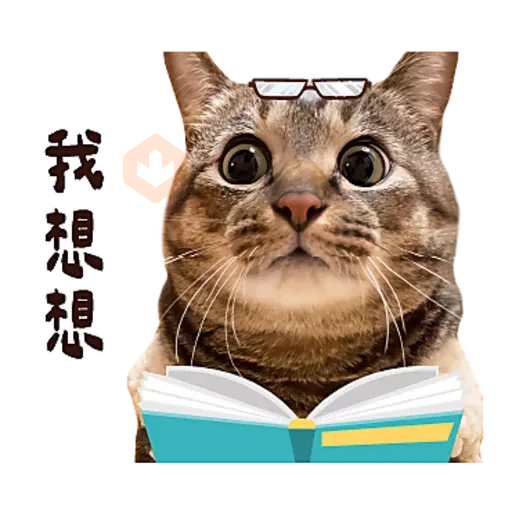 麻吉太郎 貢丸出擊 sticker 24