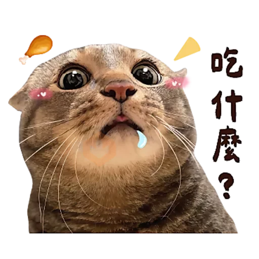 麻吉太郎 貢丸出擊 sticker 21