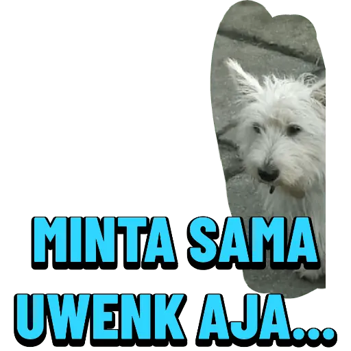 Stiker Saya