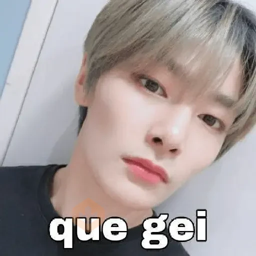 K-pop 😃 sticker 17