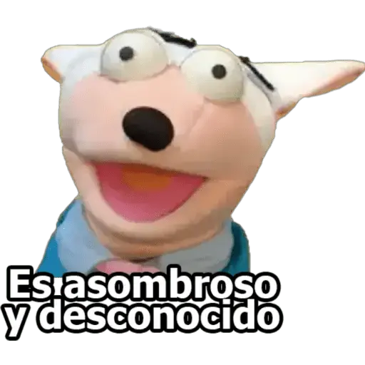 31 MINUTOS