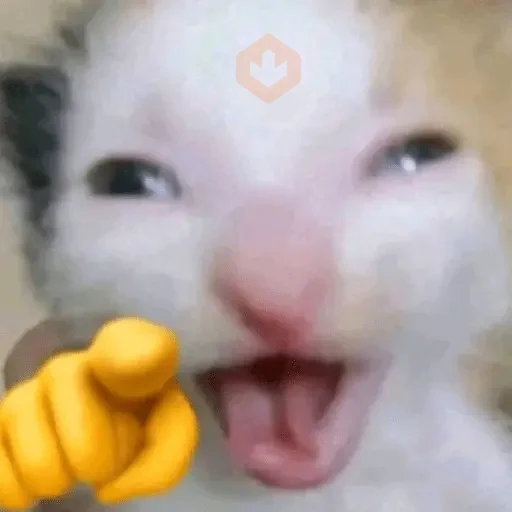 Memes sin texto 🫰🏻✨ sticker 22