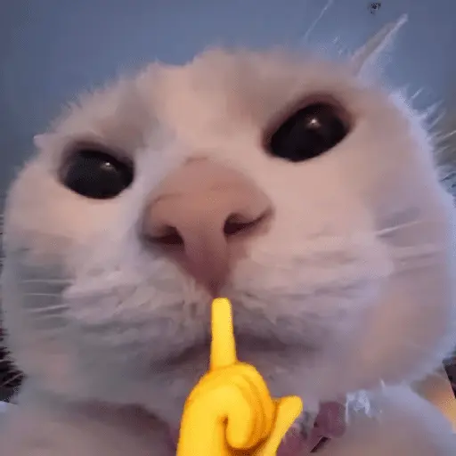 animales random 3