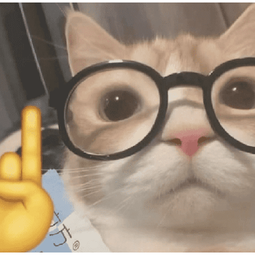 animales random 3 preview
