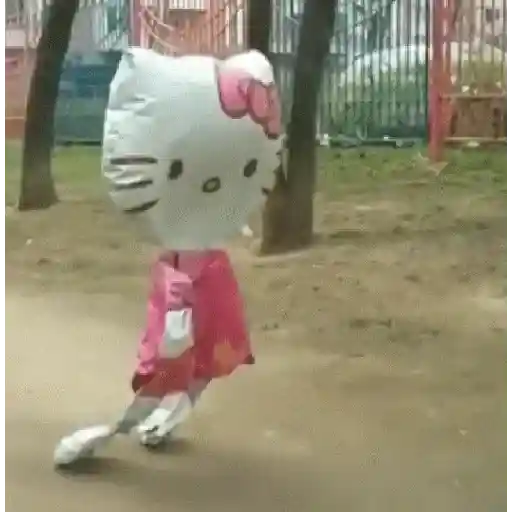 Hello Kitty 🎀 meme 💖