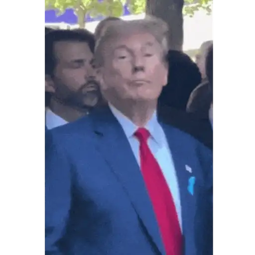 Reações Donald Trump