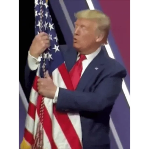 Reações Donald Trump preview