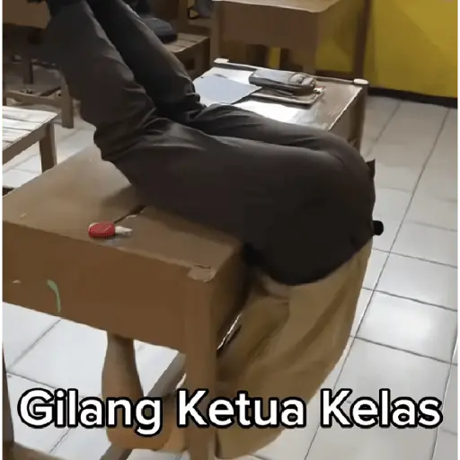 anomali tiktok meme