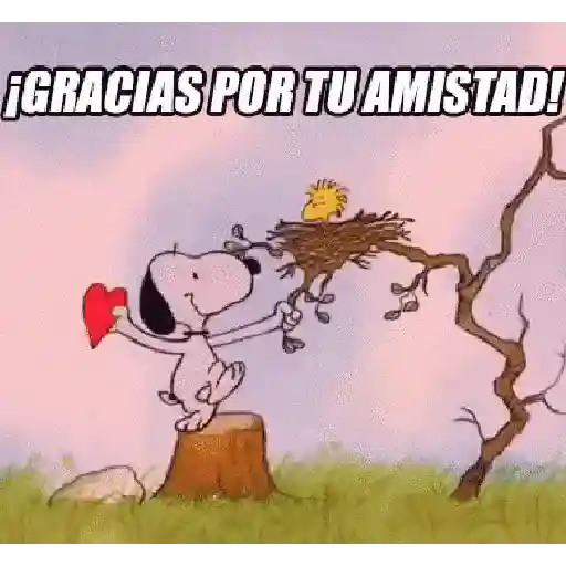 DIA DEL AMOR Y AMISTAD ♥️