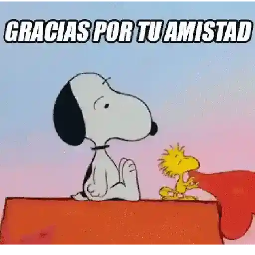 DIA DEL AMOR Y AMISTAD ♥️