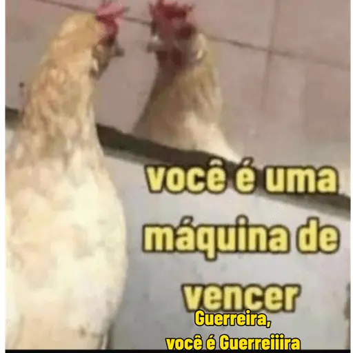 Minhas figurinhas