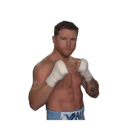Canelo Alvarez 🥊🥊 preview