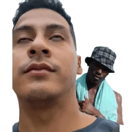 creador de stickers 