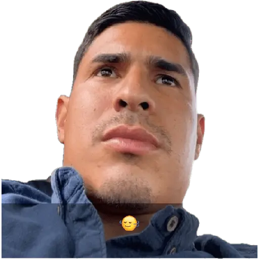 creador de stickers 