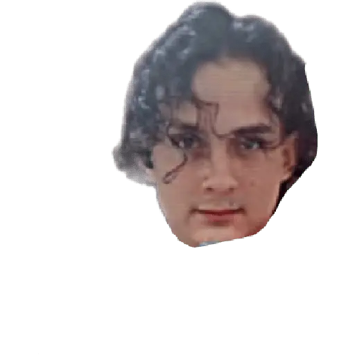 creador de stickers 