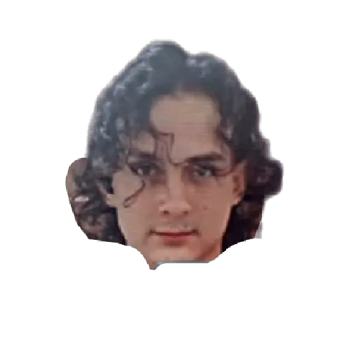 creador de stickers 