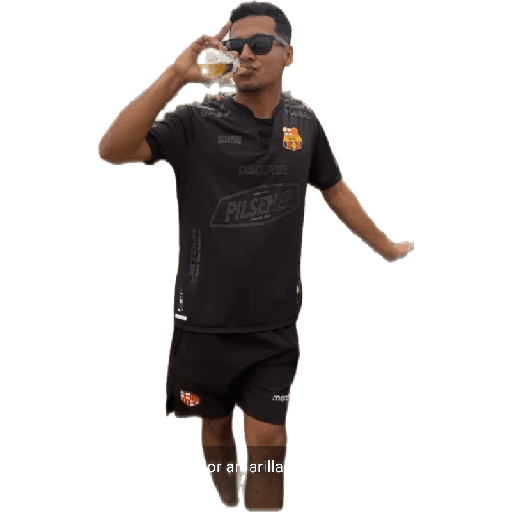 creador de stickers  preview