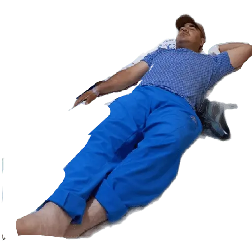 creador de stickers 