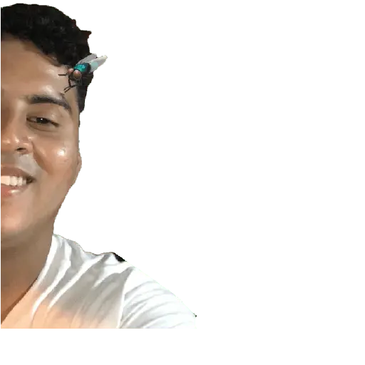 creador de stickers 