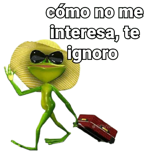 Problema tuyo papi 🐸🕶️