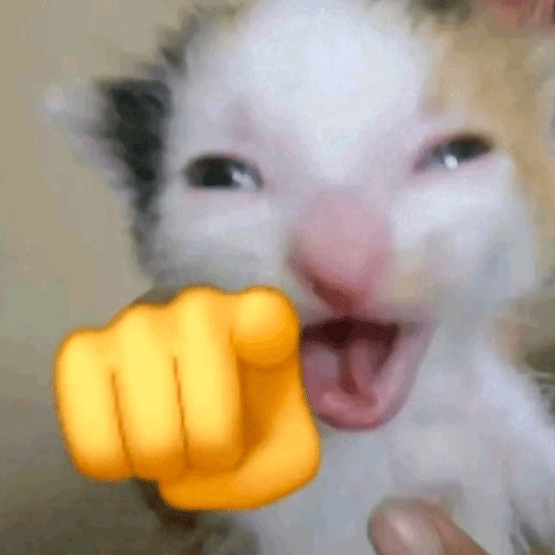 memes risadas 😂 preview