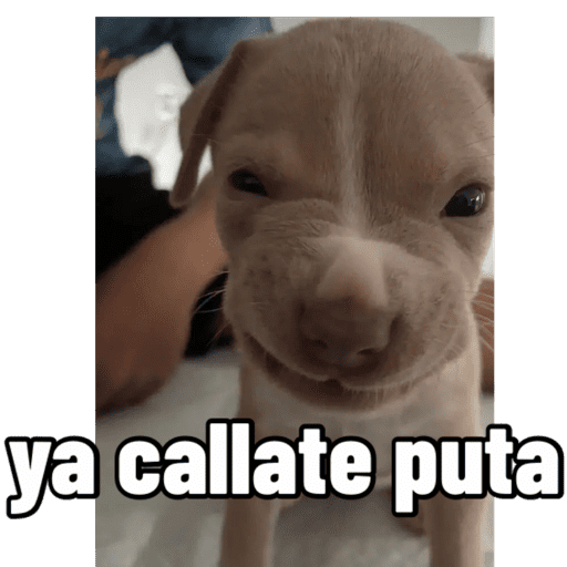 PARA CONTESTAR preview