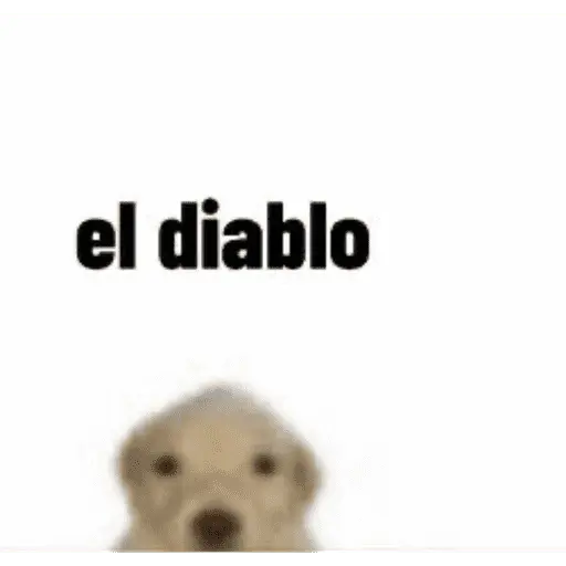 PARA CONTESTAR