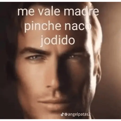 PARA CONTESTAR